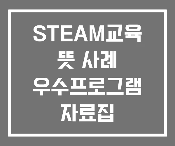 STEAM교육 뜻 사례 우수프로그램 자료집