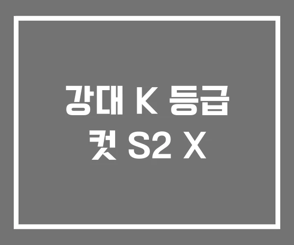 강대 K 등급 컷 S2 X 강대 K 등급 컷 S2 X