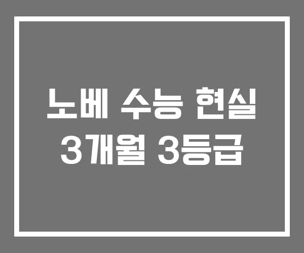노베 수능 현실 3개월 3등급