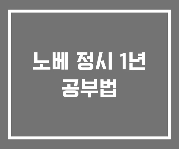 노베 정시 1년 공부법