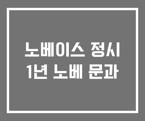 노베이스 정시 1년 노베 문과 노베이스 정시 1년 노베 문과
