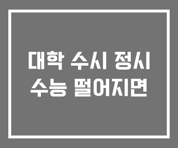 대학 수시 정시 수능 떨어지면