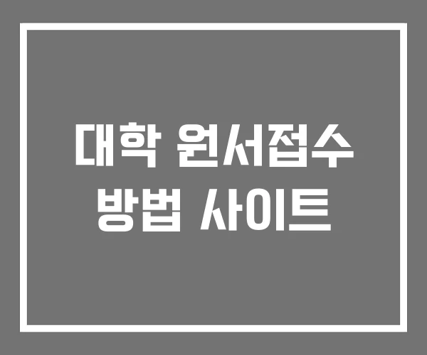 대학 원서접수 방법 사이트