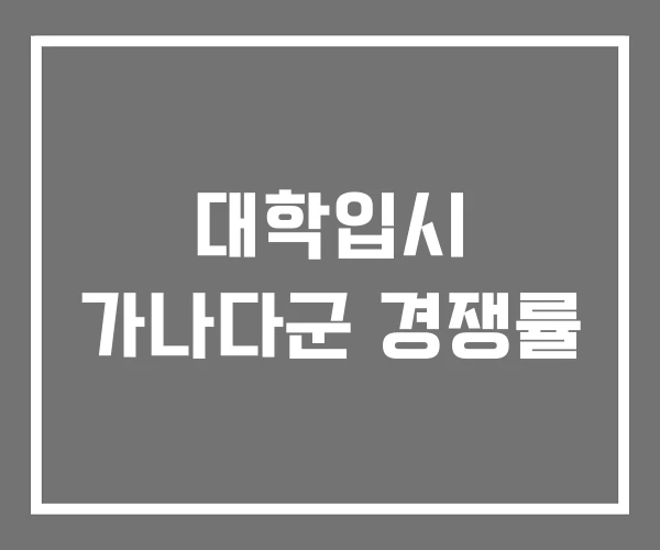 대학입시 가나다군 경쟁률
