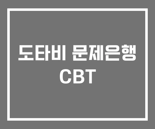 도타비 문제은행 CBT 도타비 문제은행 CBT