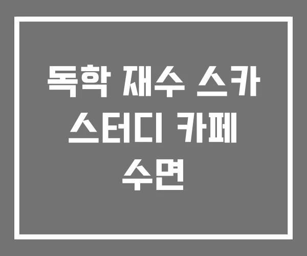 독학 재수 스카 스터디 카페 수면