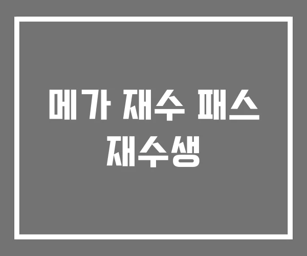 메가 재수 패스 재수생