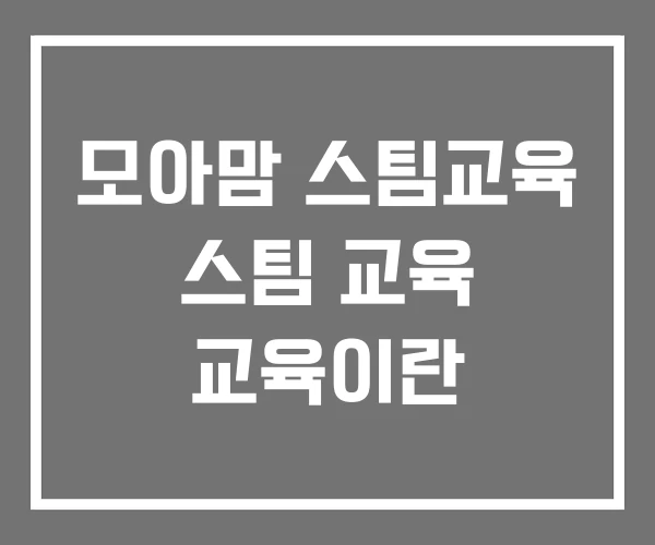 모아맘 스팀교육 스팀 교육 교육이란