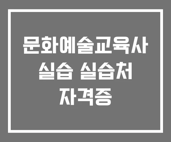 문화예술교육사 실습 실습처 자격증 문화예술교육사 실습 실습처 자격증