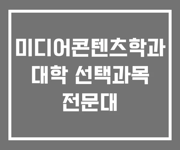 미디어콘텐츠학과 대학 선택과목 전문대