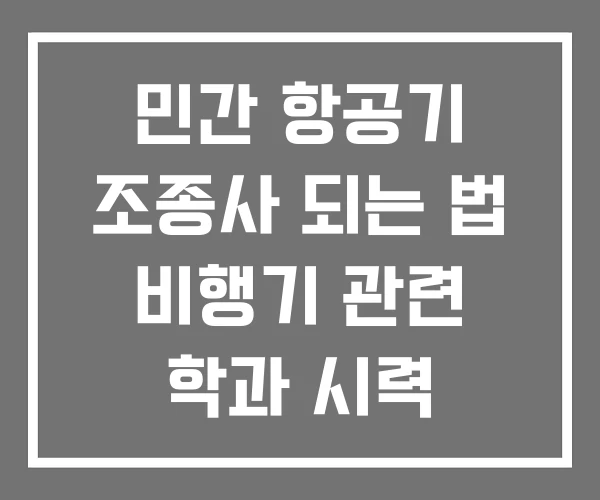 민간 항공기 조종사 되는 법 비행기 관련 학과 시력 민간 항공기 조종사 되는 법 비행기 관련 학과 시력