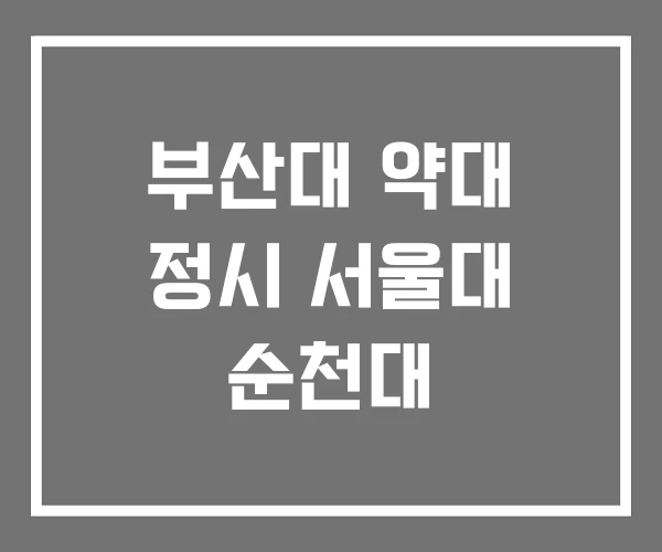 부산대 약대 정시 서울대 순천대 부산대 약대 정시 서울대 순천대