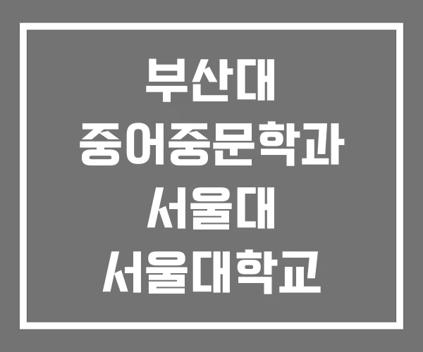 부산대 중어중문학과 서울대 서울대학교 부산대 중어중문학과 서울대 서울대학교