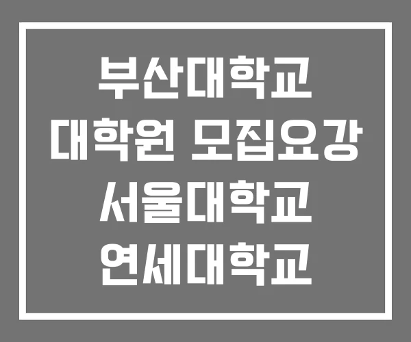 부산대학교 대학원 모집요강 서울대학교 연세대학교 부산대학교 대학원 모집요강 서울대학교 연세대학교