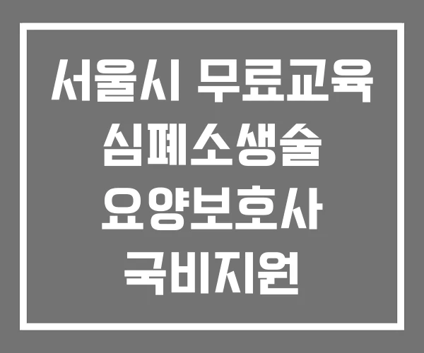 서울시 무료교육 심폐소생술 요양보호사 국비지원 서울시 무료교육 심폐소생술 요양보호사 국비지원