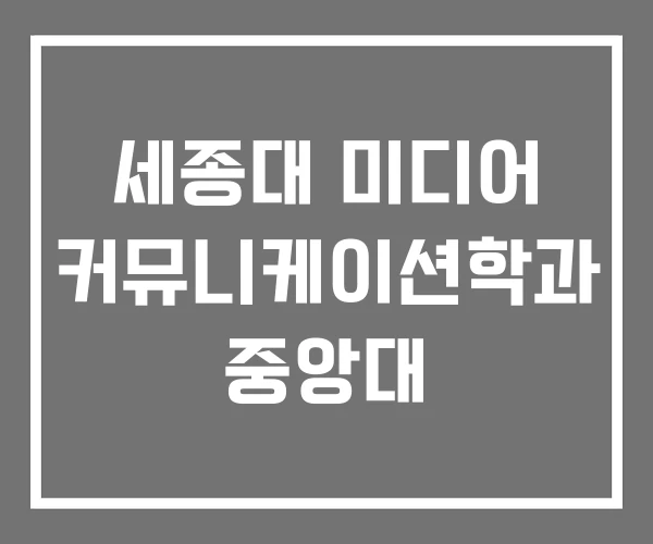 세종대 미디어 커뮤니케이션학과 중앙대 세종대 미디어 커뮤니케이션학과 중앙대