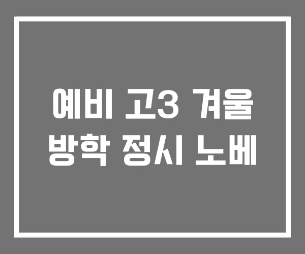 예비 고3 겨울 방학 정시 노베