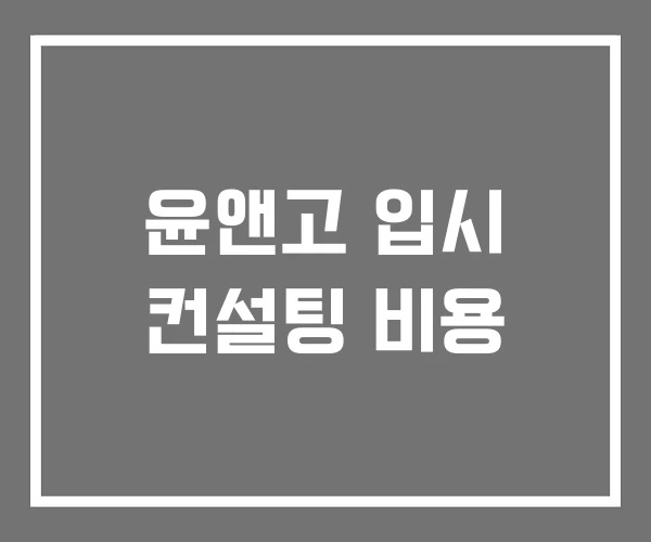 윤앤고 입시 컨설팅 비용