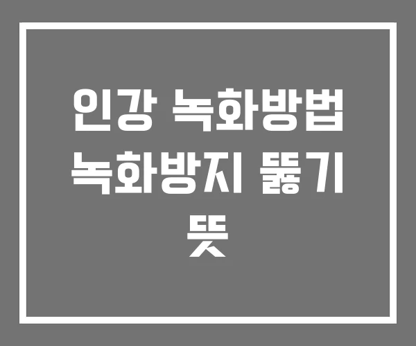 인강 녹화방법 녹화방지 뚫기 뜻