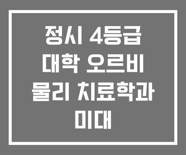 정시 4등급 대학 오르비 물리 치료학과 미대