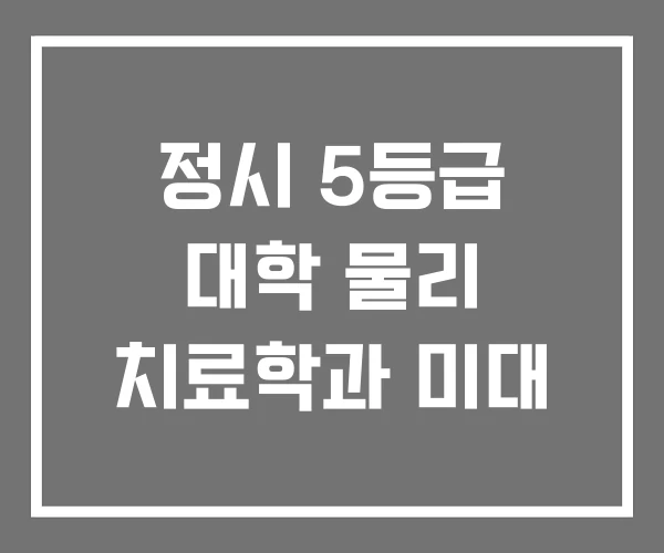 정시 5등급 대학 물리 치료학과 미대
