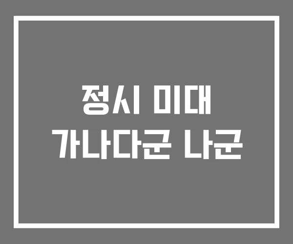 정시 미대 가나다군 나군