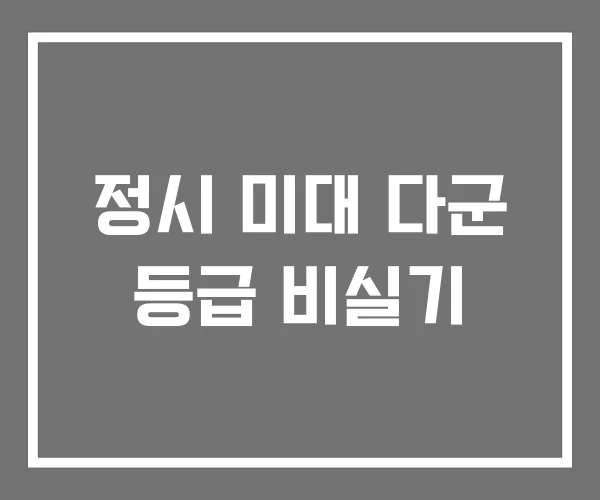 정시 미대 다군 등급 비실기