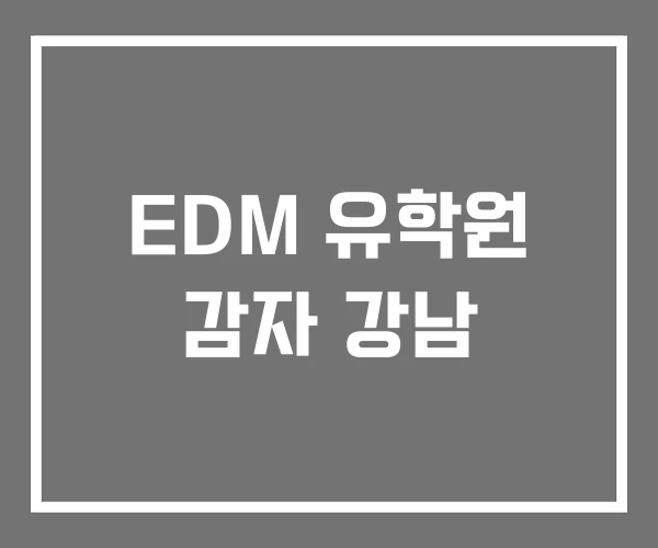EDM 유학원 감자 강남