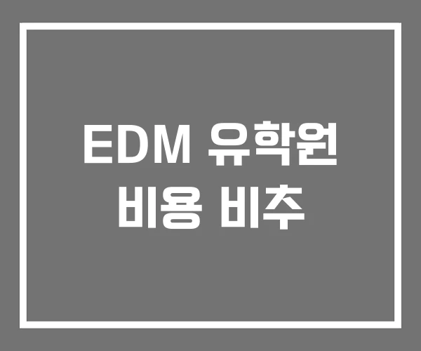 EDM 유학원 비용 비추