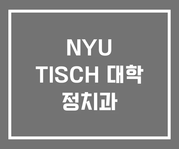 NYU TISCH 대학 정치과