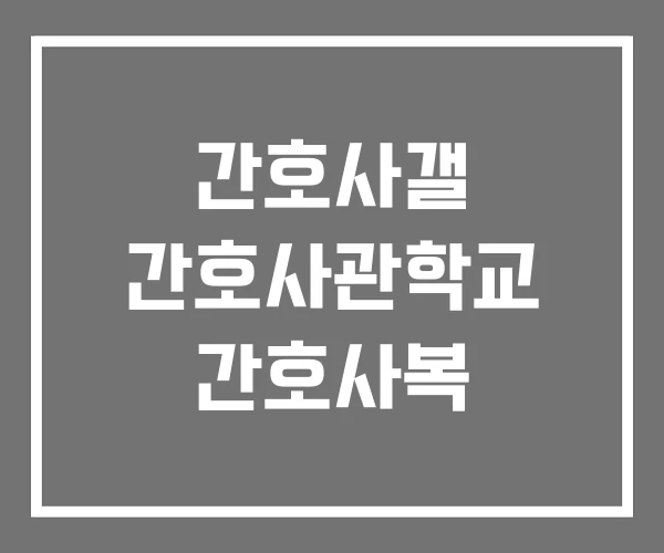 간호사갤 간호사관학교 간호사복