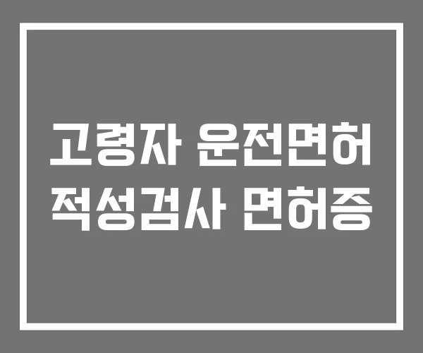 고령자 운전면허 적성검사 면허증 고령자 운전면허 적성검사 면허증