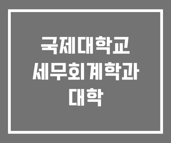 국제대학교 세무회계학과 대학 국제대학교 세무회계학과 대학