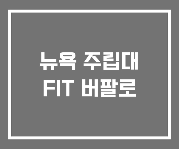 뉴욕 주립대 FIT 버팔로