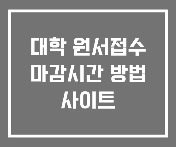 대학 원서접수 마감시간 방법 사이트