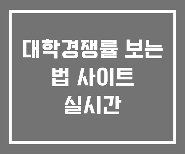 대학경쟁률 보는 법 사이트 실시간