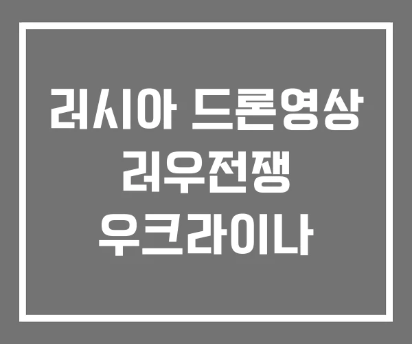 러시아 드론영상 러우전쟁 우크라이나