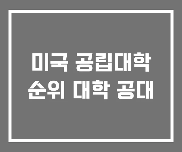 미국 공립대학 순위 대학 공대 미국 공립대학 순위 대학 공대