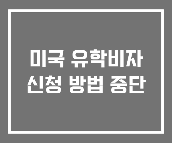 미국 유학비자 신청 방법 중단