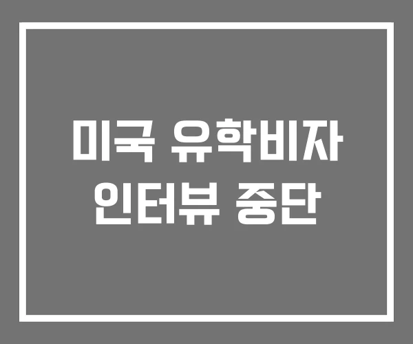 미국 유학비자 인터뷰 중단 미국 유학비자 인터뷰 중단