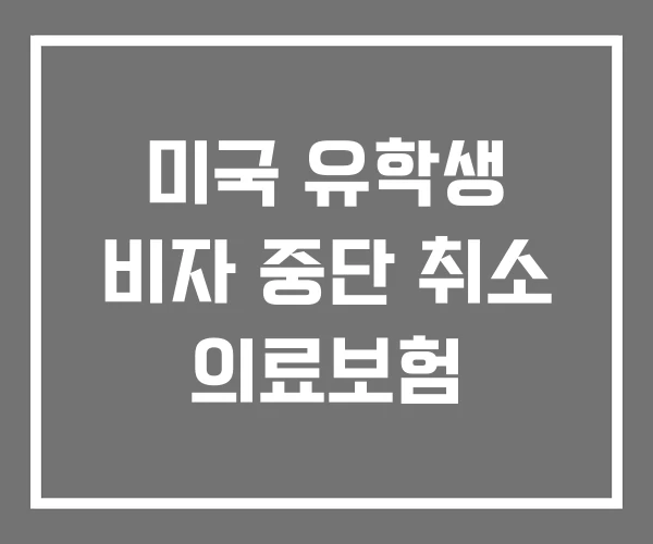 미국 유학생 비자 중단 취소 의료보험 미국 유학생 비자 중단 취소 의료보험