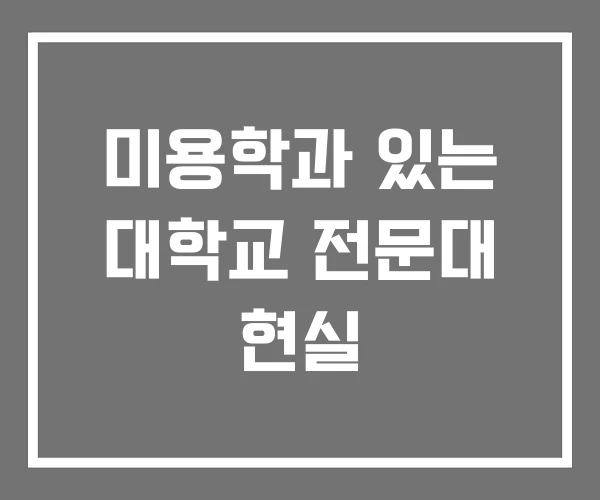 미용학과 있는 대학교 전문대 현실