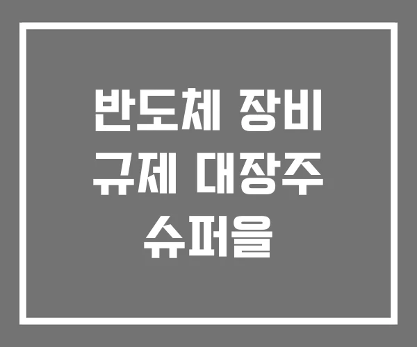 반도체 장비 규제 대장주 슈퍼을