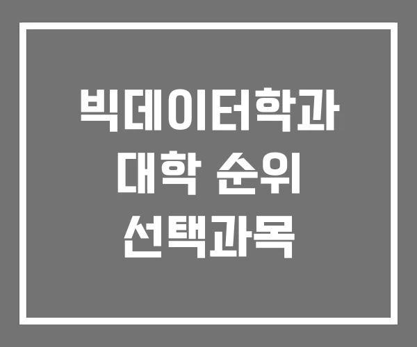 빅데이터학과 대학 순위 선택과목