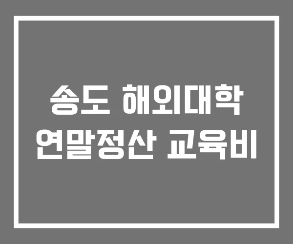 송도 해외대학 연말정산 교육비 송도 해외대학 연말정산 교육비