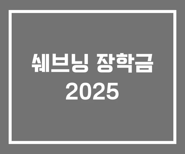 쉐브닝 장학금 2025 쉐브닝 장학금 2025