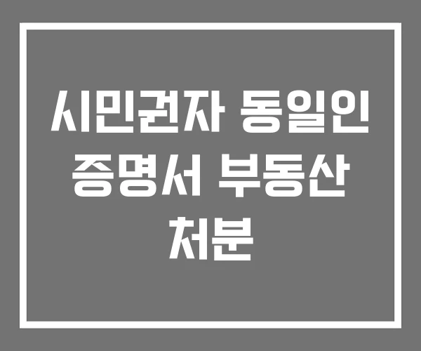 시민권자 동일인 증명서 부동산 처분