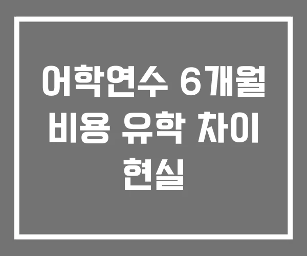 어학연수 6개월 비용 유학 차이 현실 어학연수 6개월 비용 유학 차이 현실