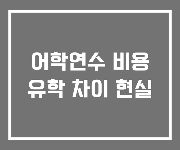 어학연수 비용 유학 차이 현실 어학연수 비용 유학 차이 현실