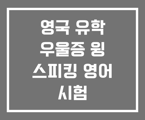 영국 유학 우울증 윙 스피킹 영어 시험